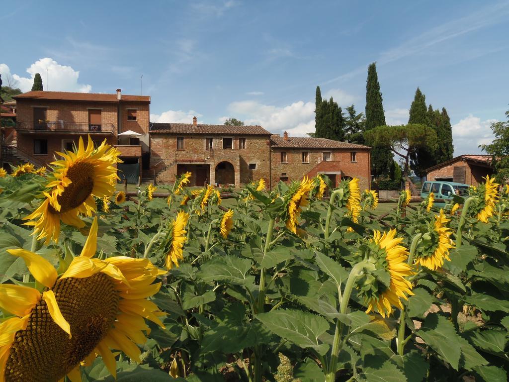 Podere La Capacciola Sinalunga Eksteriør billede